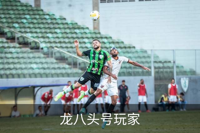 关于龙八头号玩家